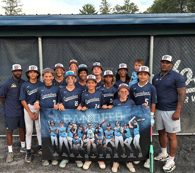 EEPLaw-baseball-img
